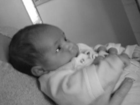 ==>ma puce<==